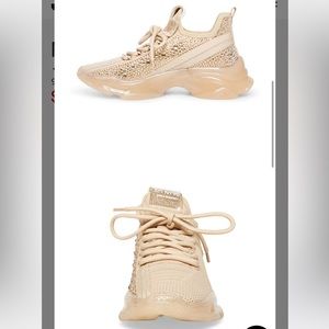 Steve Madden Sneakers
